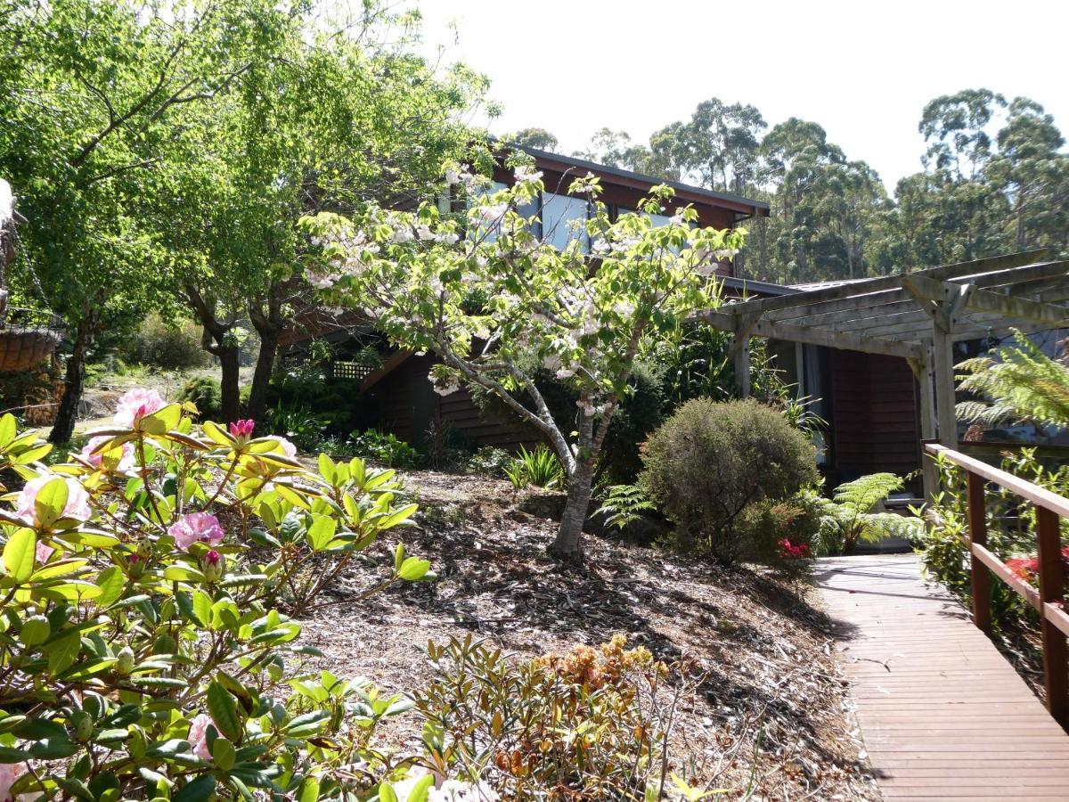 Osprey Lodge&Bungalow Eaglehawk Neck Exterior foto